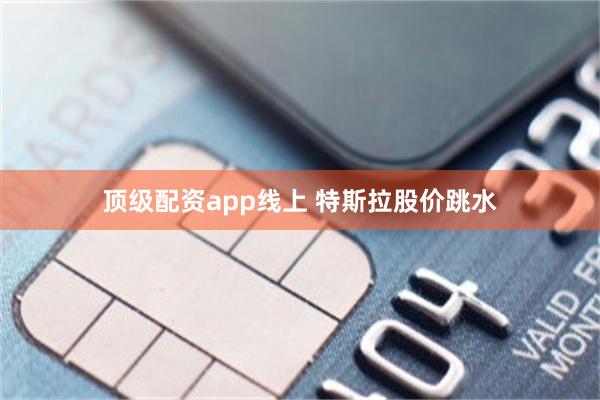 顶级配资app线上 特斯拉股价跳水