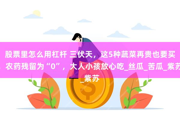 股票里怎么用杠杆 三伏天，这5种蔬菜再贵也要买，农药残留为“0”，大人小孩放心吃_丝瓜_苦瓜_紫苏