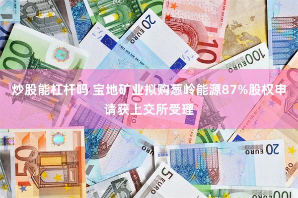 炒股能杠杆吗 宝地矿业拟购葱岭能源87%股权申请获上交所受理
