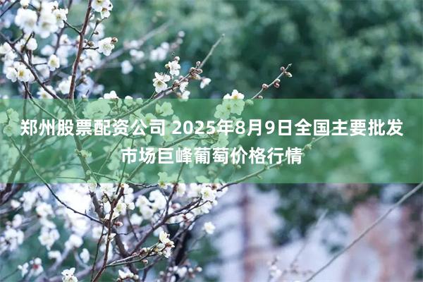 郑州股票配资公司 2025年8月9日全国主要批发市场巨峰葡萄价格行情