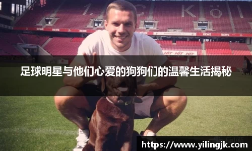 OE欧亿官方网站